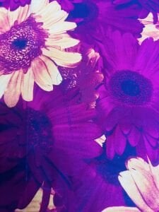 Poplin Kumaş Desenli, Parça 50x40 cm, Patchwork Kumaşları