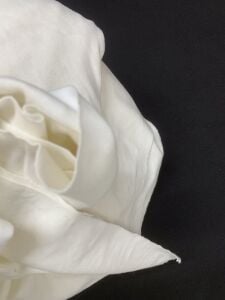Ekru Bebe Ribanası Penye Kumaş, Parça 300x180 cm